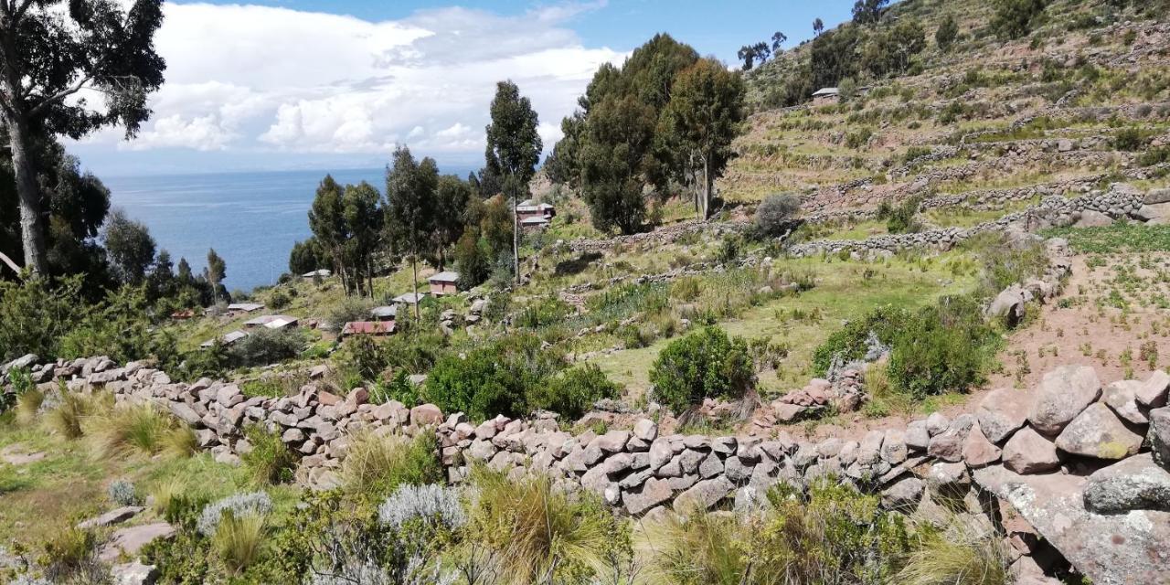 Taquile Hospedaje Mario Huillanopampa 外观 照片