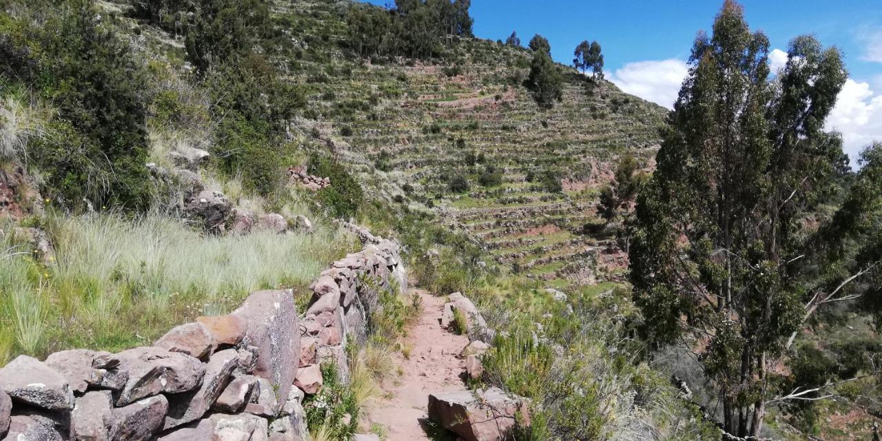 Taquile Hospedaje Mario Huillanopampa 外观 照片