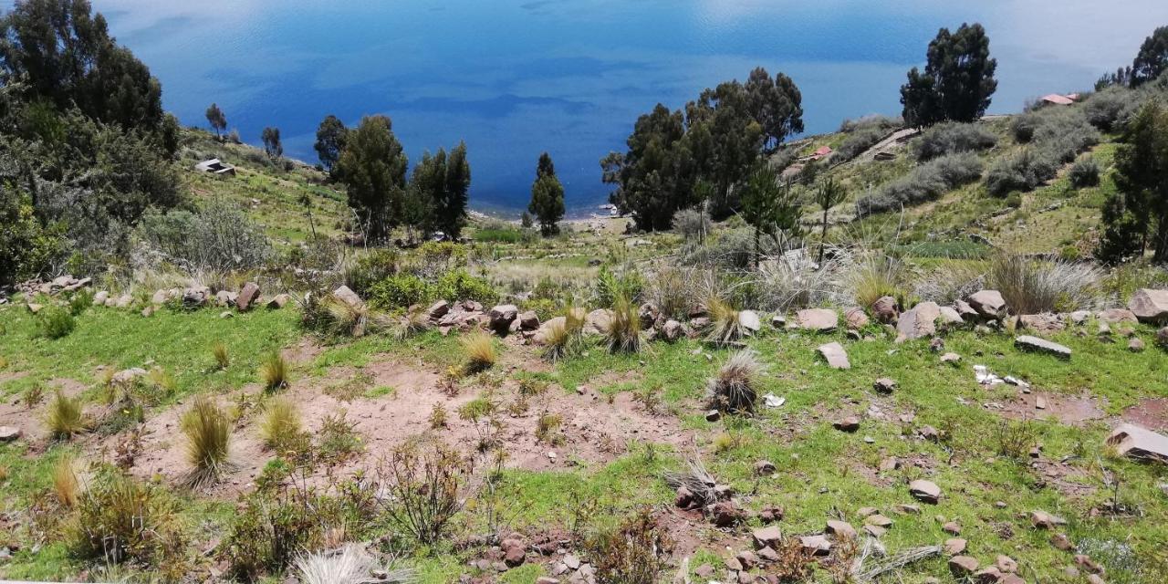 Taquile Hospedaje Mario Huillanopampa 外观 照片