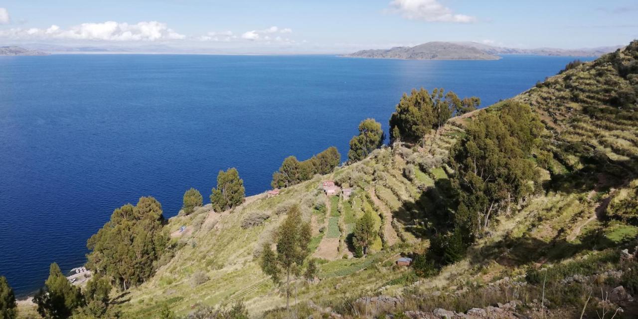 Taquile Hospedaje Mario Huillanopampa 外观 照片