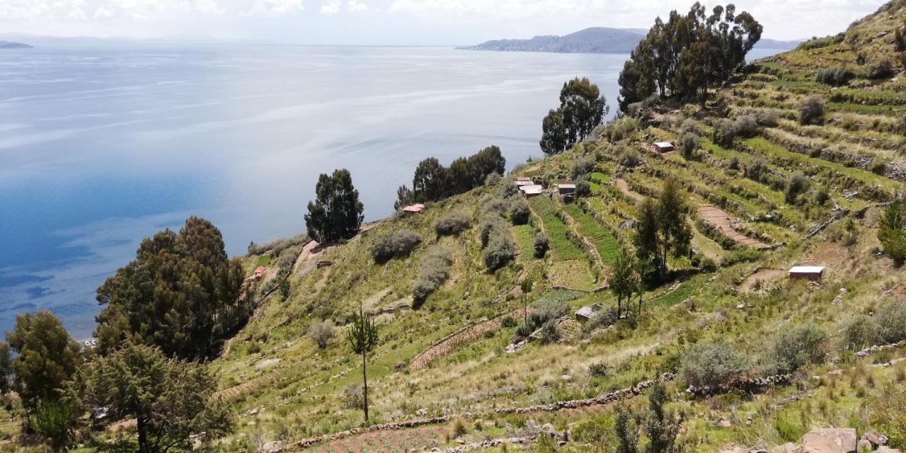 Taquile Hospedaje Mario Huillanopampa 外观 照片