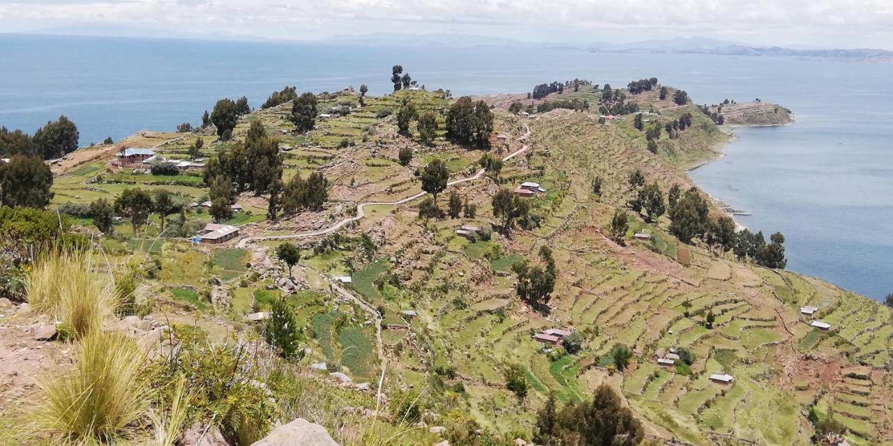 Taquile Hospedaje Mario Huillanopampa 外观 照片