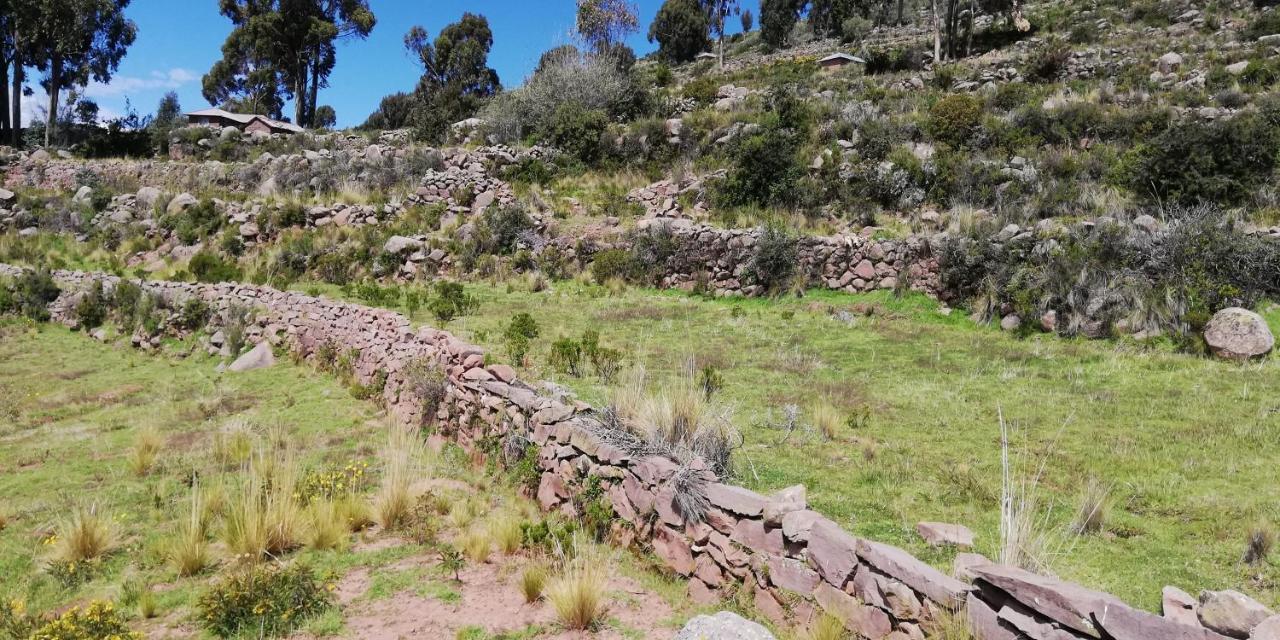 Taquile Hospedaje Mario Huillanopampa 外观 照片