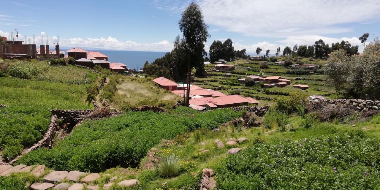 Taquile Hospedaje Mario Huillanopampa 外观 照片