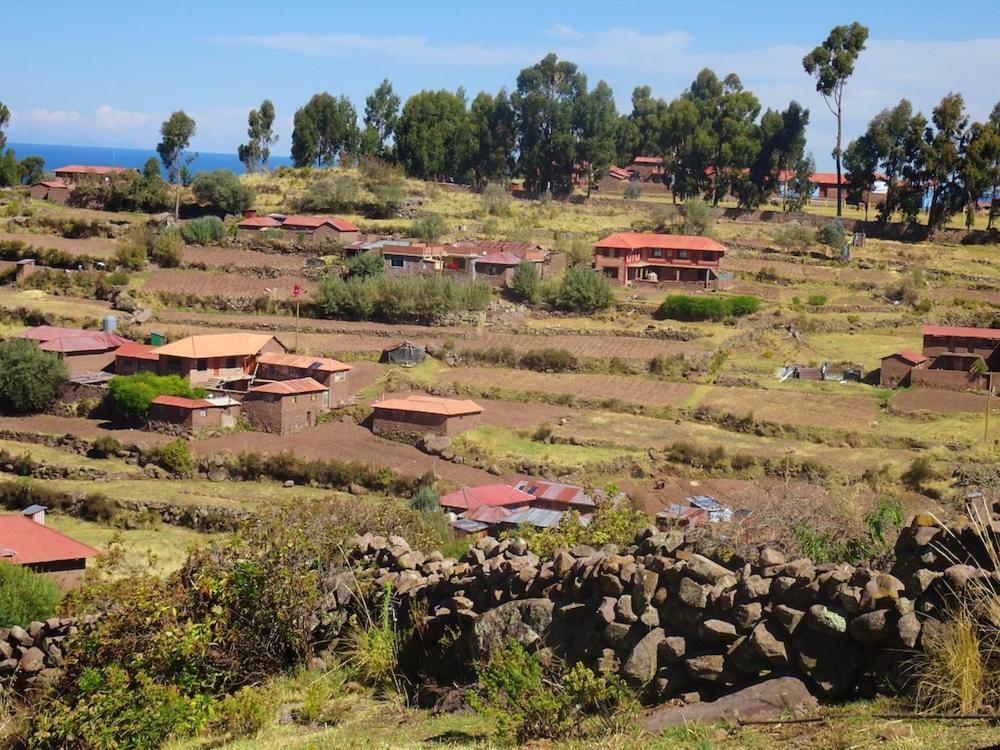 Taquile Hospedaje Mario Huillanopampa 外观 照片