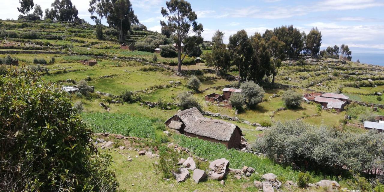 Taquile Hospedaje Mario Huillanopampa 外观 照片